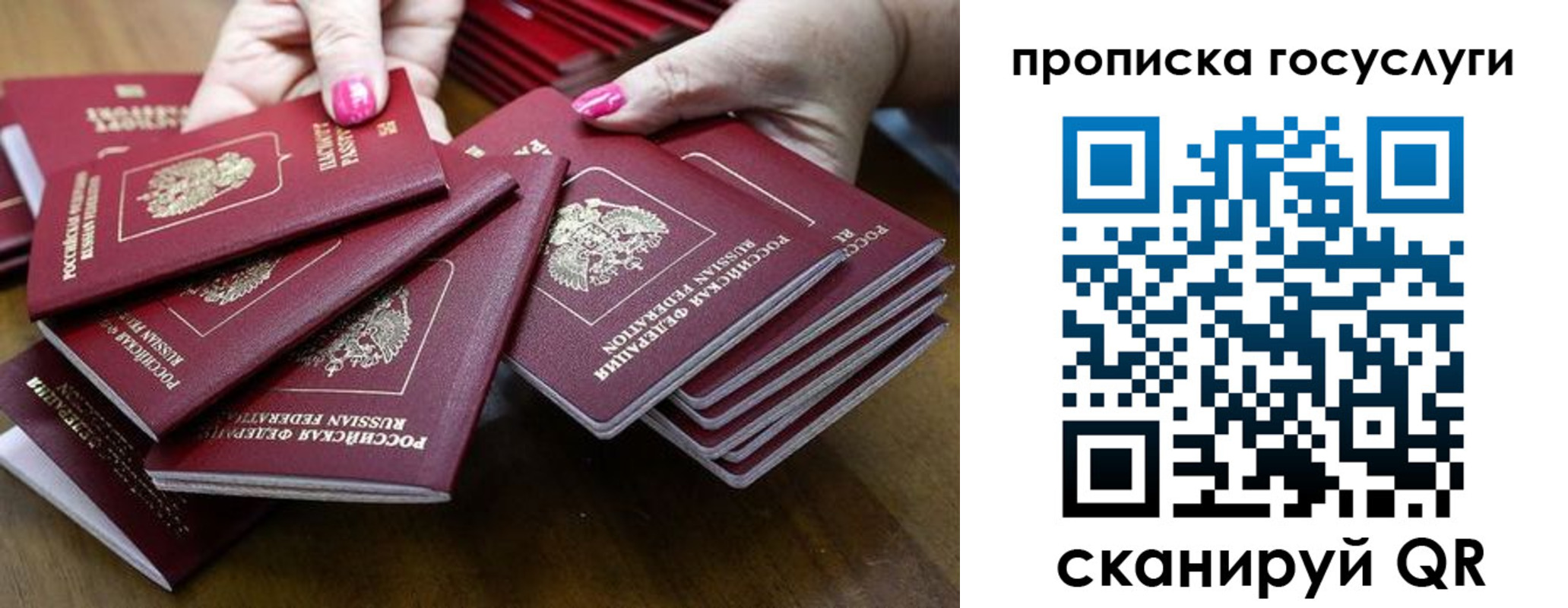 миграционный учет в Волосово